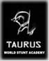 Web Taurus World Stunt Academy
